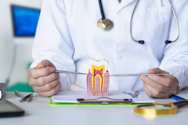 Best After-Hours Emergency Dentist in Middlesex, NC